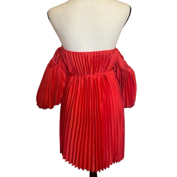 Express Red Pleated Dress - Picture 7 of 7